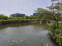 -嘉定紫藤园