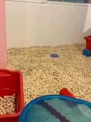 -多多淘儿童体验中心(重庆来福士店)