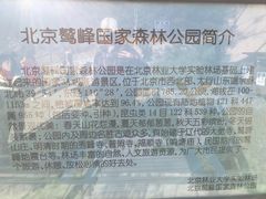 -北京鹫峰国家森林公园