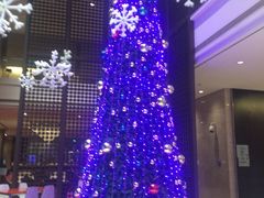 -浦东绿地铂骊酒店品珍轩中餐厅