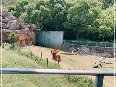 -无锡动物园·太湖欢乐园