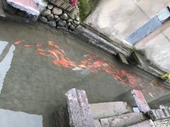 -前童古镇