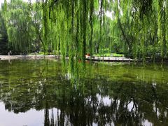 -玲珑塔公园