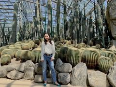 -南山植物园