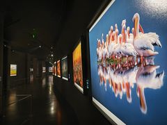 -罗红摄影艺术馆