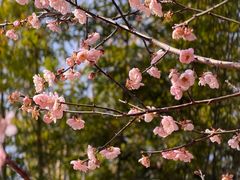 -桃花涧