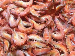 白灼虾-吉布鲁牛排海鲜自助(成都大悦城店)