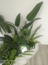-HEYAN荷妍专业脱毛连锁机构