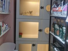 -车接车送·寄养洗护·德文猫舍(大宁店)