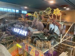 -卡通尼·Safari非洲探索乐园·生日会(金桥国际商业广场店)