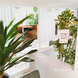 我从北大毕业了家人们！美食和静谧并存是一种什么样的体验❗