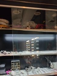 点击看大图 -鼎极摄影(世纪金源店)
