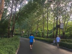 -长春公园(普阳街道)