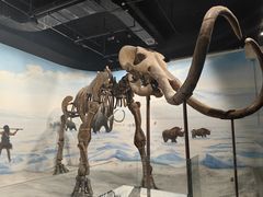 -辽宁古生物博物馆