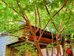 -VOYAGE COFFEE(杨梅竹店)