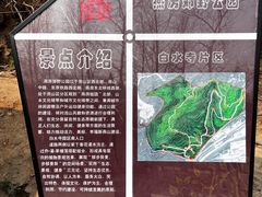 -白水寺森林公园