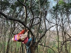 -南京市江宁方山