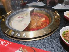 -熊喵来了火锅(长安万达第94分店)
