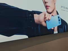-荣耀授权专卖店(黄浦浙江中路店)