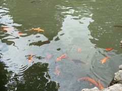 -豫园