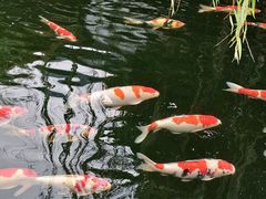 -香麒园·过桥米线·南湖雅宴