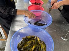 -彭大姐老店黄辣丁(新津店)