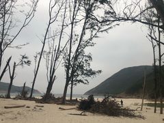 -浪茄湾