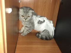 -康乐宝动物医院