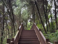 -仙海旅游度假区