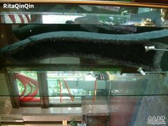 -金孔雀温泉旅游度假村