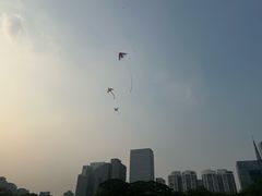-二沙岛艺术公园