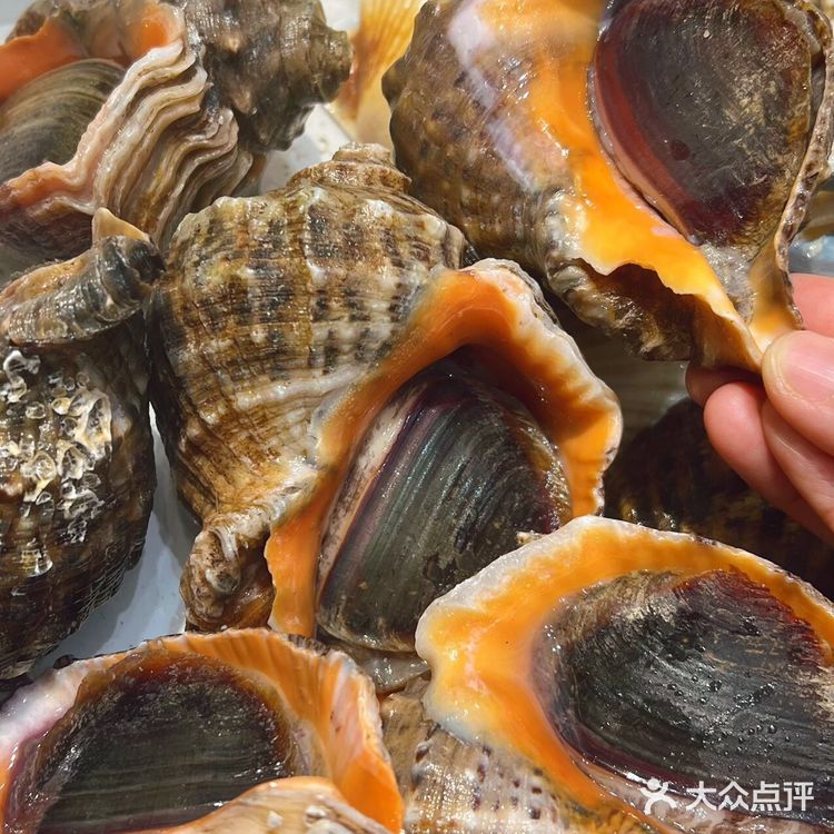 🤩救命!被本地人安利的海鲜店也太绝了吧!