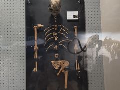 -辽宁古生物博物馆