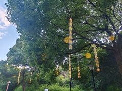 -白马涧龙池景区