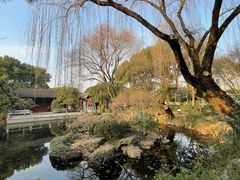 -秋霞圃