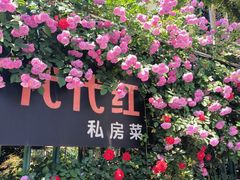 -树山生态村