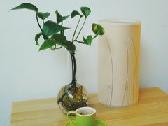 -古耳咖啡(北锣店)