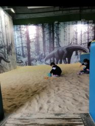 -恐龙探索乐园(磁器口店)