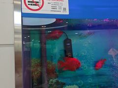 -雅悦齿科(顾村公园店)