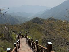 -大岭沟猕猴桃谷风景区