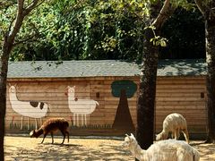 -大连森林动物园