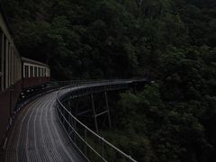 -热带雨林自然公园