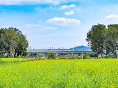 -光明小镇欢乐田园