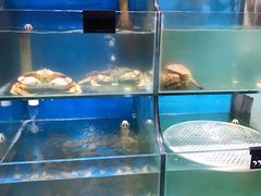 水产区-东极岛海鲜