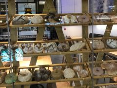 面包甜点陈列柜-托斯卡纳烘焙意大利餐厅(五天地店)