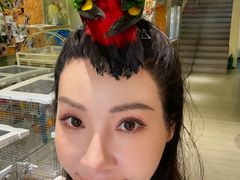 -立德异宠动物医院.兔鸟爬.内窥镜(天河店)