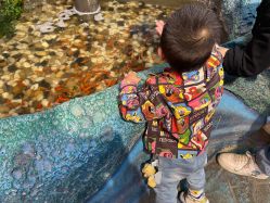 -酷嗒动物文化乐园(cutezoo西溪乐天城店)