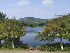 -白马涧龙池景区