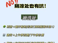 -阿胡BOP保镖隐形车衣(静安旗舰店)