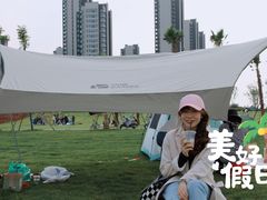 -九龙湖公园